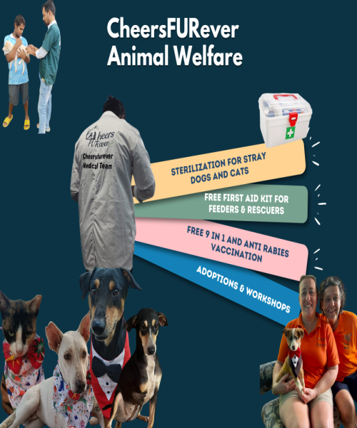 Free Steriliazation camp